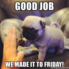 Doge is maybe thee most famous dog meme of all time. Good Job It Might Have Been A Short Week But Friday Is Here What Do You Have Planned For This Weekend Friday Cute Baby Pugs Dog Memes Baby Animals Funny