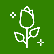 Chez décor aquatique trouvez tous les matériels pour votre bassin de jardin. Paysagiste Creation Entretien Annonce Service Travaux Reparations Jardinage A Romans Sur Isere 26100 Wl159666965