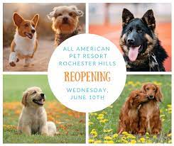 Bavarian inn, black hills, custer. We Hope That You And Your Loved Ones Are All American Pet Resorts Rochester Hills Facebook