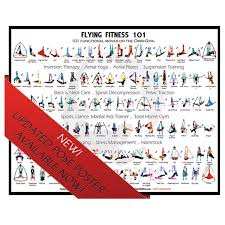 Omni Yoga Swing Pose Poster