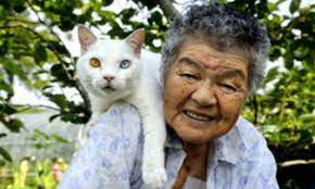 Misa and Fukumaru: Friendship between pensioner and cat | Daily Mail Online