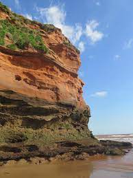 Low Tide At Ladram Bay Visit Devon Dartmoor National Park Beautiful Beaches