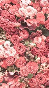 Wallpaper Iphone Pink Roses Beautiful Pink Wallpaper Iphone Spring Wallpaper Hd Spring Wallpaper
