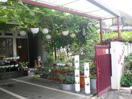 Kita cari labu siam yang tua, karena kita tinggal di kota jadi cari saja di pasar ya, kalau di desa kan bisa kita minta ke tetangga yang menanam labu siam :): 3 Tips Sederhana Untuk Menanam Sayuran Di Rumah Kumparan Com