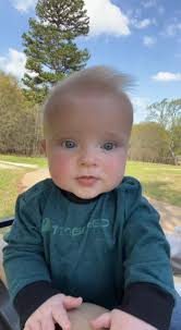 Taylor Dees Wafford (@taylordeeswafford)