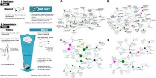 For example, you should not: Searching For A Paradigm Shift In The Research On The Epilepsies And Associated Neuropsychiatric Comorbidities From Ancient Historical Knowledge To The Challenge Of Contemporary Systems Complexity And Emergent Functions Epilepsy