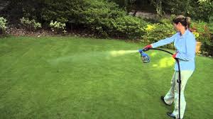 Controlling grassy weeds in flower beds. Best Weed Killer 2021 Start The Spring With Weed Free Lawns And Pathways Expert Reviews