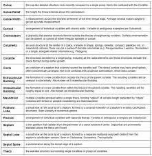 Identification And Evolution Of Closed Brain Corals Part 1 Reefs Com