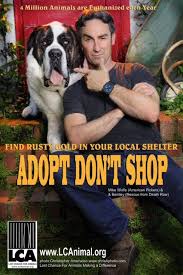Yes It Says 4 000 000 Pets Are Euthanized In Shelters Every Year Another Word Of Advice Stop Breeding Spay Or Neuter The American Pickers Animals Adoption