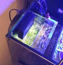 Think Your Aio Tank Is Too Small For A Simple Refugium Think Again Let Me Show You How I Set On Up In A 38 Gallon Cube And Started Cube