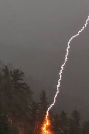 Lightning Strikes Pine Tree Lightning Strikes Lightning Nature