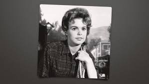 A History Of Television'S The Virginian” Book Reviews – The Virginian Weblog