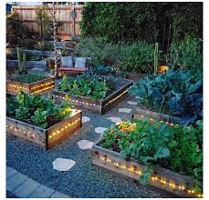 The Top Mistakes Of My Beginner Gardener Experience And How You Can Avoid Them To Have A Bett In 2021 Garden Layout Vegetable Backyard Vegetable Gardens Garden Layout