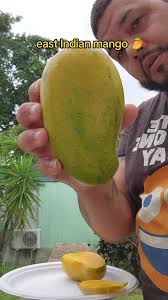 East Indian Mango Georgia