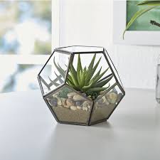 Maybe you would like to learn more about one of these? Better Homes Gardens 6 Small Glass And Metal Terrarium Walmart Com Walmart Com In 2021 Glass Planter Terrarium Hanging Plants