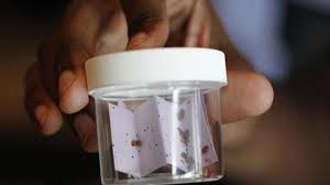 Since these pests enjoy dark, warm, and moist environments. Orkin Releases List Of Cities Most Plagued By Bed Bugs