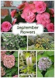 Pin On Outdoor Gardening