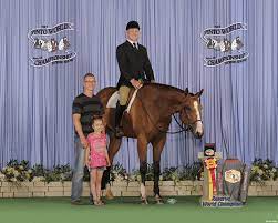 Specializing in trail, western pleasure, hunter under. Limelite Show Horses