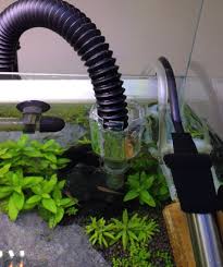 Maybe you would like to learn more about one of these? Diy Nano Tank Surface Skimmer Intake Made From A 50ml Plastic Bottle Diy Fish Tank Nano Tank Aquarium Accessories