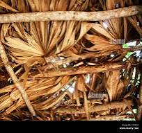 Palm thatch roofs hi-res stock photography and images - Alamy