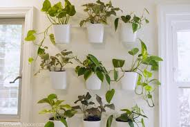 Our deck outside the kitchen is the perfect place to grow herbs for cooking. Diy Living Plant Wall The Cheerful Space