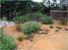 Mulch Png 441 331 Pixels Front Landscaping Garden Plants