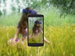 One is maintained by arnova8g2, while the other variant is maintained by bsg. Pixel Camera For Android Apk Download