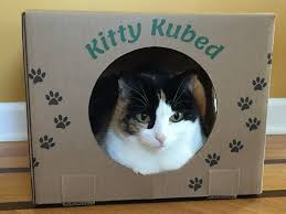 kitty kubed cat toys cat box kitty