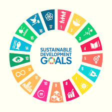 Sustainable Development Goals for Business -
