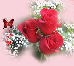 Free flower bouquets bbcpersian7 collections. Page 25 Hd A Rose For You Wallpapers Peakpx