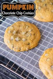Fresh Pumpkin Chocolate Chip Cookies Recipe Fifteen Spatulas Joanne Ozug Pumpkin Chocolate Chip Cookies Pumpkin Chocolate Pumpkin Chocolate Chips