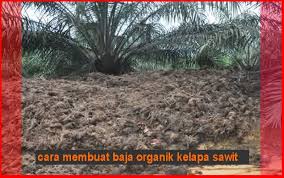 Pembukaan lahan kelapa sawit adalah kegiatan awal dalam rangka membudidayakan tanaman sawit. 34 Kelapa Sawit Malaysia Ideas Malaysia Lahan Trailblazer Car