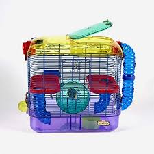What Can Someone Do To Make Their Hamster Live As Long As Possible Quora We analysed the website and came with a review of hamsterlive.com of 78%. quora