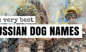 As history records alexander the great being gifted no fewer than 150 dogs, it can be tricky to extract the truth about the noble hound peritas. 90 Russian Dog Names Slavic Names For Your Four Footer