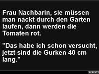 Cool Witzig Knuddelig Praktisch Oder Einfach Nur Inspirierend Cats Funny Cats Cute Animals