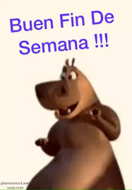 Buen Fin De Semana Video Frases De Mal Humor Frases De Buen Humor Humor En El Trabajo