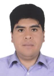 Candidato por PUNO ELVIS SANDRO CARI CANCAPA al congreso 2021