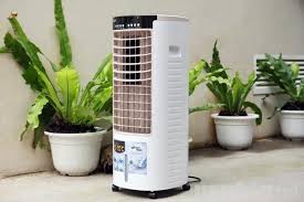 Cây xạ đen là một vị thuốc có tác dụng điều trị bệnh ung thư, ngoài ra cây xạ đen có công dụng điều trị bệnh viêm gan b, bệnh huyết áp cao. Ä'iá»u Hoa Cay Mini Ná»™i Ä'á»‹a Nháº­t Báº£n May Láº¡nh Mini Nháº­t