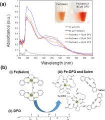 The Iron Chelating Agent Deferoxamine Detoxifies Fe Salen Induced Cytotoxicity Sciencedirect