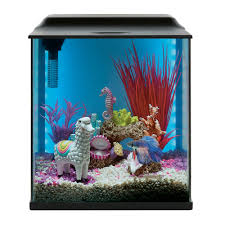 Top fin aquarium decorations petsmart locations store. Top Fin Backlight Aquarium Fish Starter Kits Petsmart