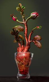 Check Out This Photoshop Design For Designcrowd Community Contests Design 8826002 Designer Cyberhomer Art A Theme Anatomie Art Cœur Couleurs De Fleurs