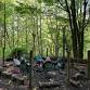 Wellbeing in Nature group event image