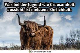 Á Ehrlichkeit Spruche Mit Bild Lustige Und Kurze Zitate Uber Ehrlichkeit