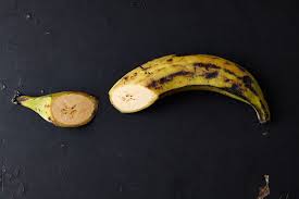 The ethylene is what is responsible for causing those nasty black or brown spots on the banana. All About Tropical Fruits How To Buy Store And Use Plantains