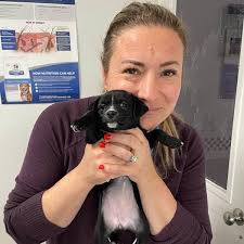 2024 Dogwood Annual Report