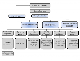 organisation chart zmzm company