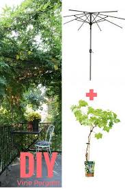 Fabriquer Une Pergola Avec Un Vieux Parasol Deconome Decoration Jardin Japonais Parasol Jardin Pergola