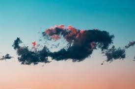 Beautiful, free images and photos that you can download and use for any project. 100 Nature Pictures Download Free Images Stock Photos On Unsplash
