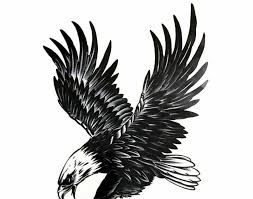Keesokan harinya, kicauan burung menyambut pagi yang sudah tersinari matahari. Koleksi Populer Gambar Elang Hitam Putih Ideku Unik