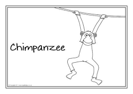 Savesave rumble in the jungle for later. Rumble In The Jungle Colouring Sheets Sb6610 Sparklebox